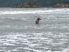 -嵊泗基湖沙滩