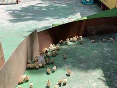 -前小桔亲子创意农场·草莓采摘·露营烧烤