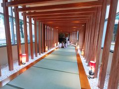 -重庆南山海昌汤都