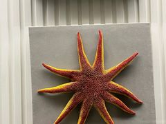 -青岛贝壳博物馆