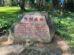 -独树成林
