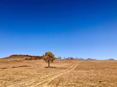 -塞罕坝国家级自然保护区