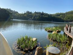-深圳仙湖植物园-停车场