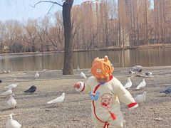 -银树楼(紫玉山庄东区店)