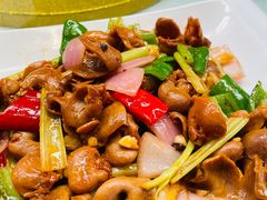 -大树头森林餐厅(番禺广场店)