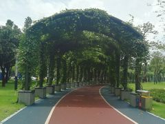 -文华公园(禅城区)