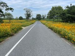 -良渚古城遗址公园