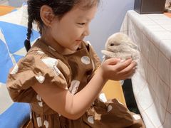 -大象厨房(重庆道店)