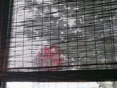 -泥糊破店小酒馆·团建聚餐(南京西路店)