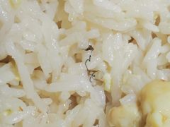 -小柴米·传统江西菜(八一广场店)
