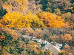 -青岛崂山太清宫