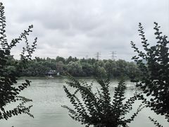 -羊山湖公园