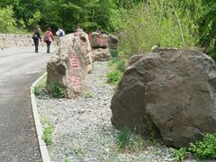 -天女山森林公园