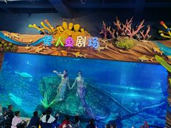 -太奥幻太奇海洋馆