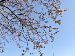 -北京明城墙遗址公园