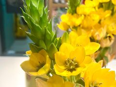 -Catch Bagel(芳草地店)