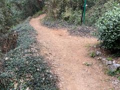 -九曜山