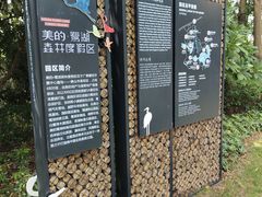 -美的鹭湖森林度假区