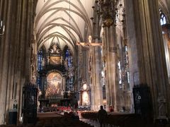 -斯蒂芬主教座堂(Stephansdom)