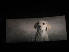 -保利国际影城杭州中南店