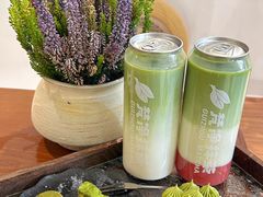 -地中海传奇水汇