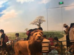 -陕西自然博物馆