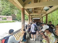 -牛背梁国家森林公园