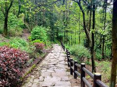 -冶父山国家森林公园