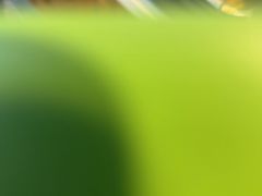 -王浩儿纪六孃甜皮鸭(乐山总店)