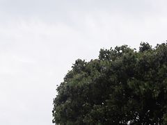 -阳澄湖半岛旅游度假区
