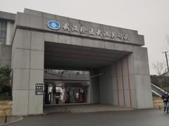 -武汉关码头(轮渡站)