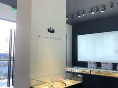 -BLACKSWAN黑天鹅(环球店)