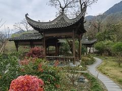 -塔川景区