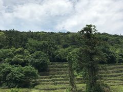-无锡城中皇冠假日酒店·芳园中餐厅