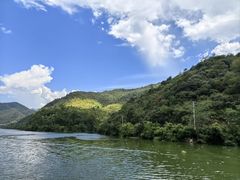 -芦茨金富饭庄·25年老字号·专做稻草鸡