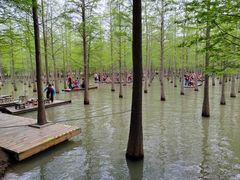 -泗洪洪泽湖湿地景区