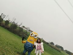 -紫颐香薰山谷景区