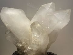 -安徽省地质博物馆