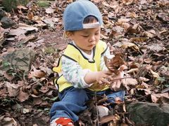 -宾果蒙特梭利托育儿童之家幼儿园(爱琴海店)