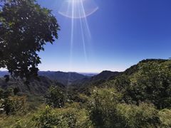 -大岭沟猕猴桃谷风景区