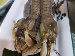 -渔娘渔家丹东海鲜(东直门店)