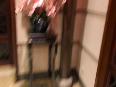 -香然会·园林雅宴(陆家嘴店)
