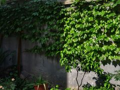 -懒鱼时光馆(沙坪坝店)