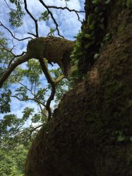 -大望京儿童游乐场