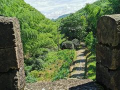 -仙霞关景区
