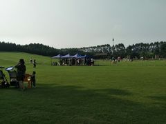 -迪茵湖田家舍生态农场