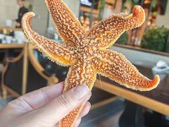 -川骄海鲜自助(亚运村店)