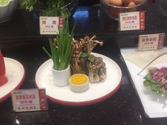 -鑫源渔港(阳光店)