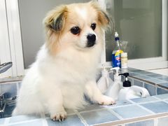 -1013 PET SHOP 宠物商店(近铁城市广场店)