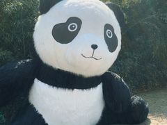 -苏州太湖国家湿地公园